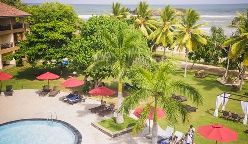 the-palms-4