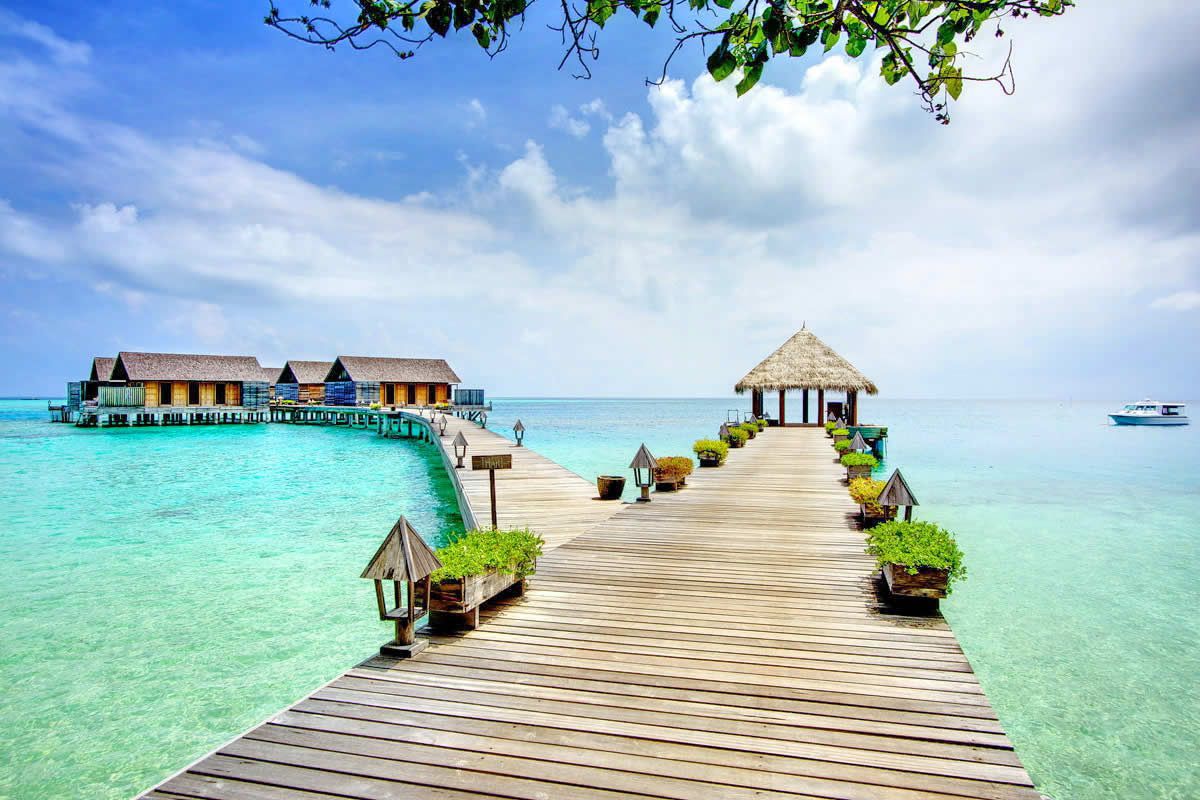 gangehi-island-resort-4