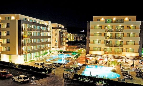 lion-sunny-beach-4